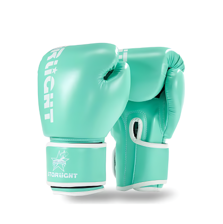 Classic Boxing Gloves